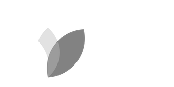 csr-6Vz4D.png