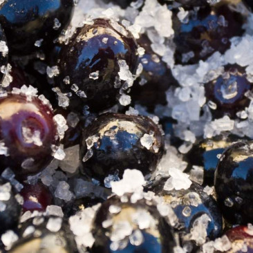 The importance of salt in the olive industry The importance of salt in the olive industry